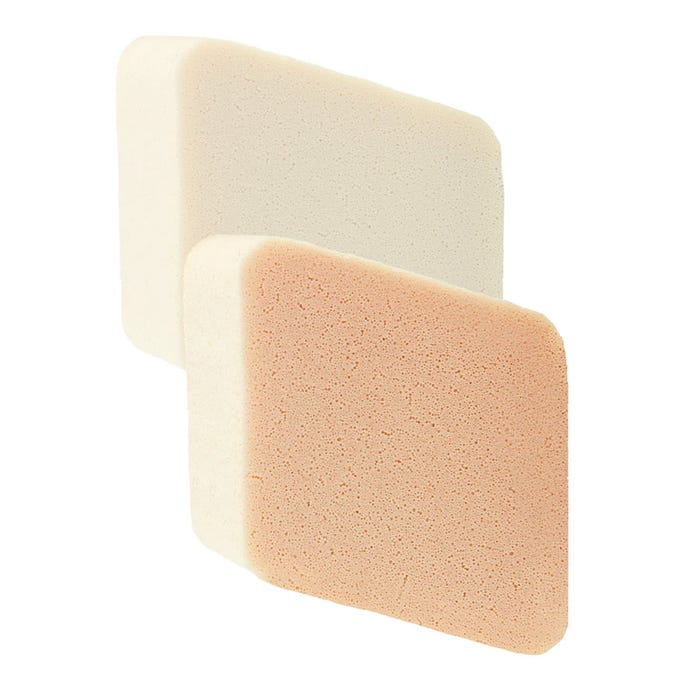 2 Esponjas Latex