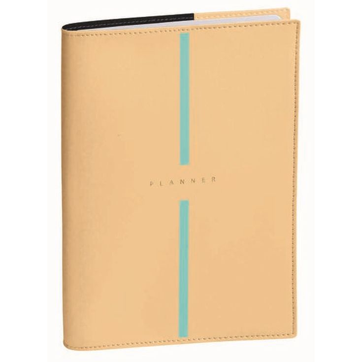 Agenda 16m Billy A6 sem/vista mult 24-25 crema