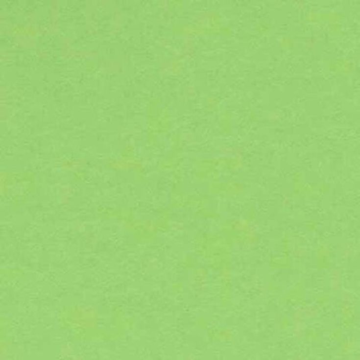 Cartulina Iris 23x32 240g verde claro 50 hojas