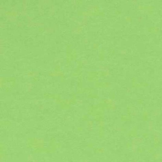 Cartulina Iris 23x32 240g verde claro 50 hojas