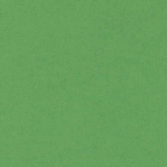 Cartulina Iris 23x32 240g verde oscuro 50 hojas